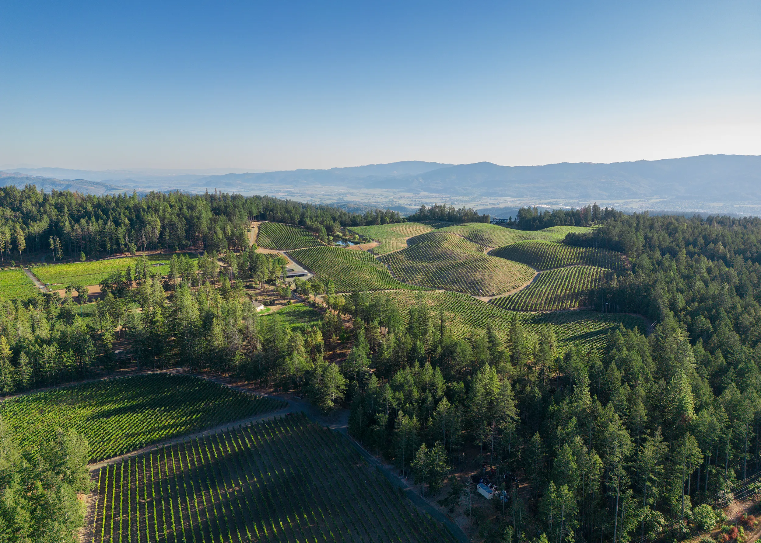 Howell Mountain Vineyard aerial