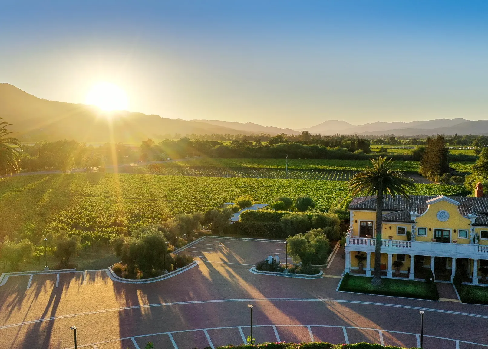 Oakville Estate aerial